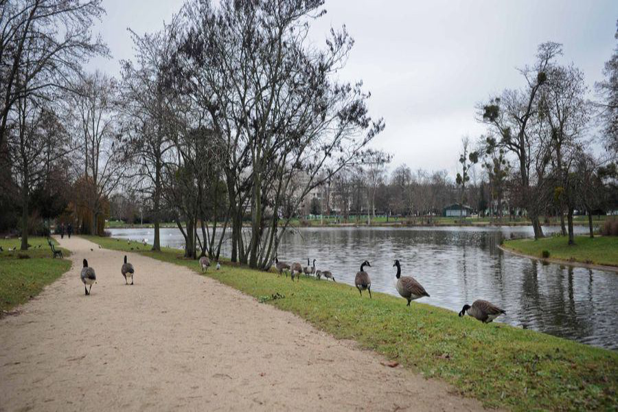 Toutes les photos de Urban Challenge Bois de Vincennes 12e