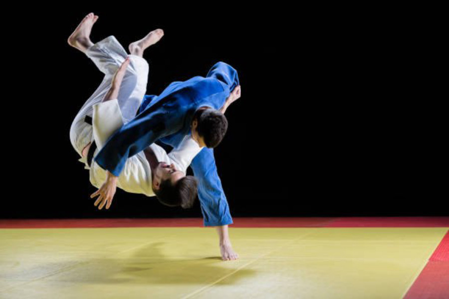 Toutes les photos de Blois Judo Vienne