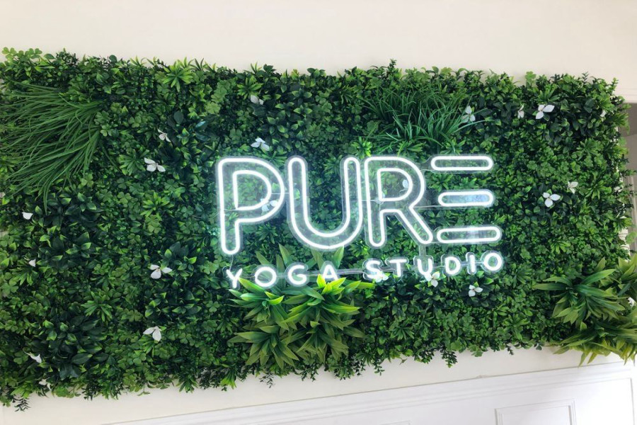 Pure Yoga Studio