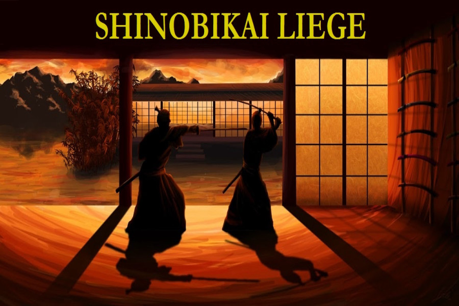 Shinobikai Liege