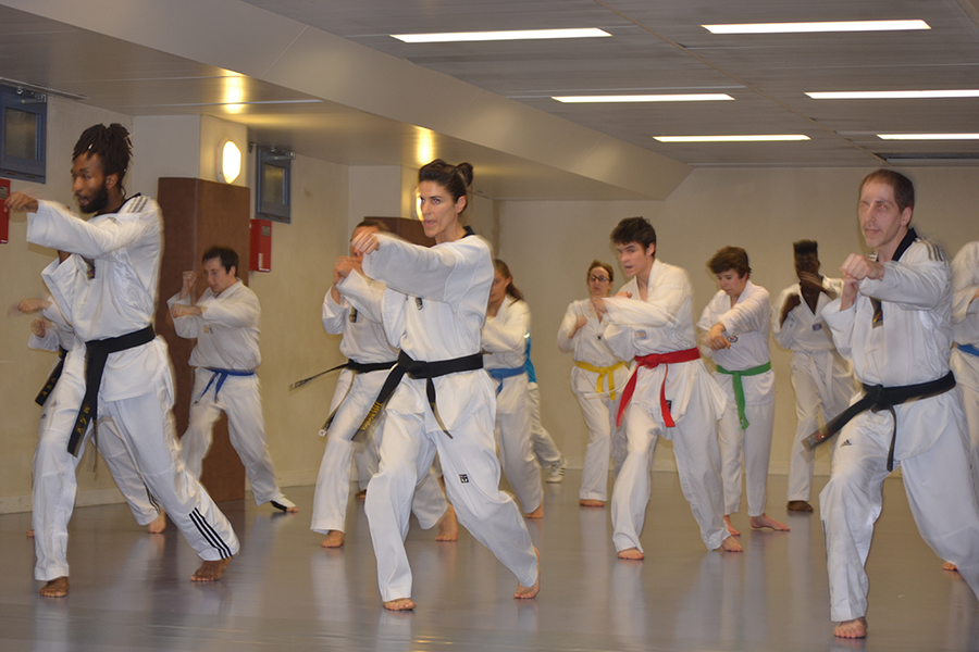 Taekwondo Gymnase Lycée Montaigne Paris