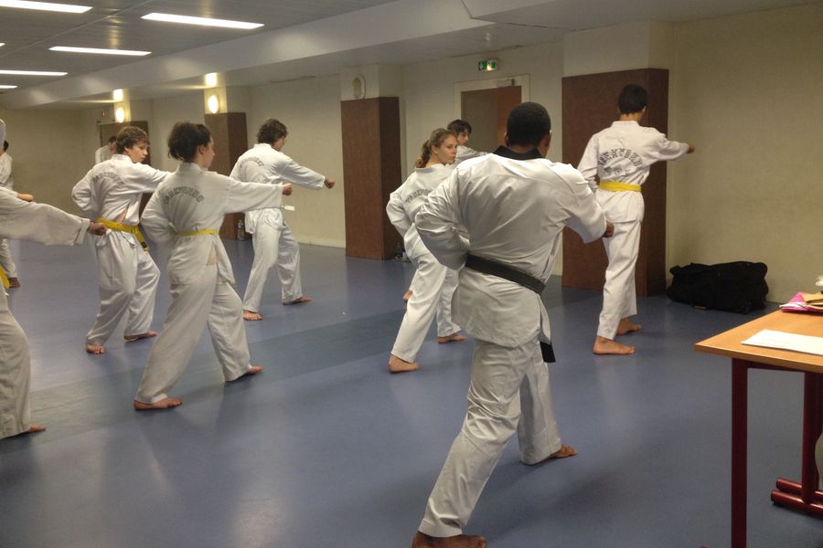 Taekwondo Gymnase Vaugirard Littré Paris